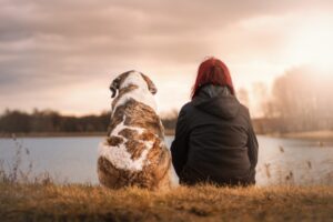 Therapy dog, companionship